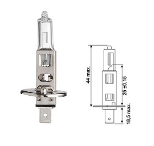 AMPOULE H1 6V 55W