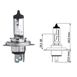 AMPOULE HS1 6 VOLT 35/35 WATT PX43T